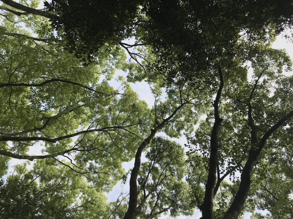 ゴールデンウィークはどうでしたか？。
