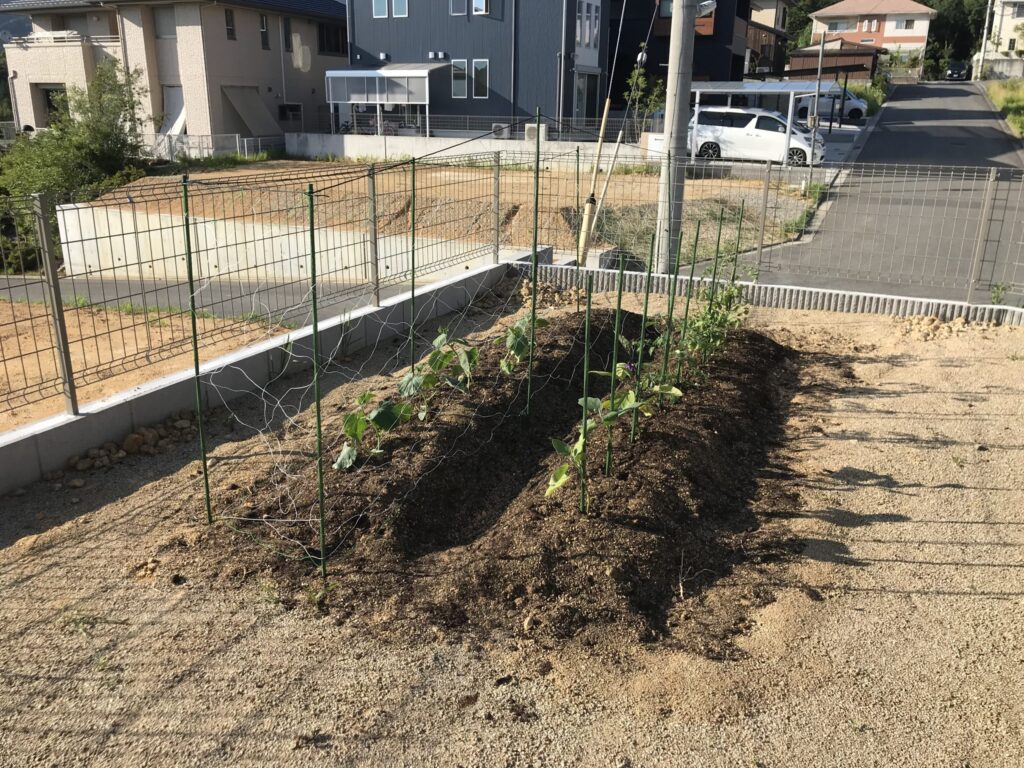 あこがれの家庭菜園。